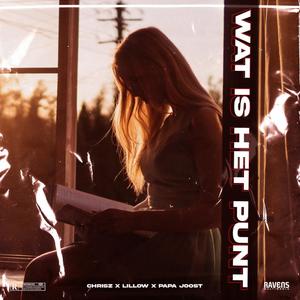 Wat is het punt (feat. Papa joost & Lillow) (Explicit)