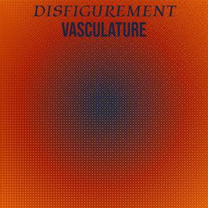 Disfigurement Vasculature