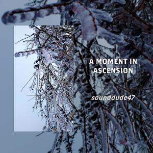 Patterns in the Tunnels