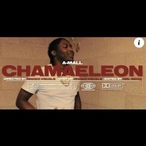 Chamaeleon (Explicit)