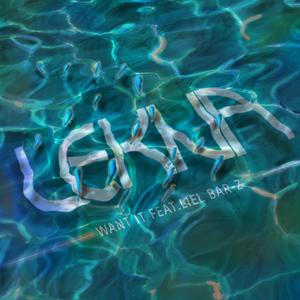 Want It(feat. Liel Bar-Z)
