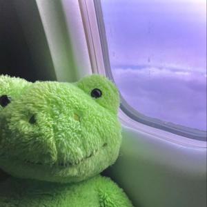 lie (sped up) (Explicit)