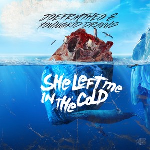 She Left Me In The Cold