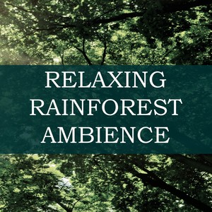 Relaxing Rainforest Ambience - Soothing Calming Music with Rain Sounds and Tibetan Bowls for Deep Meditation, Reiki, Yoga, Massage & Sleep