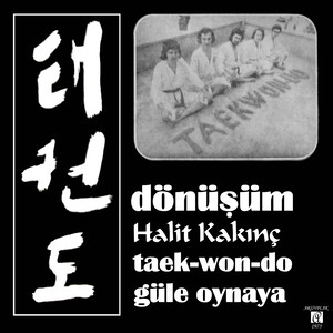 Taekwondo / Güle Oynaya (feat. Dönüşüm)