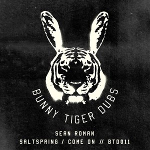 Saltspring (Original Mix)