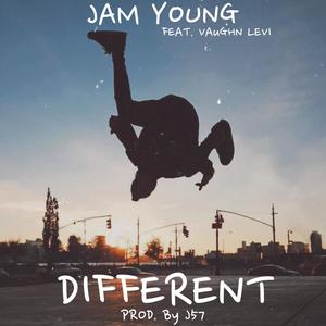 Different (feat. Vaughn Levi) (Explicit)