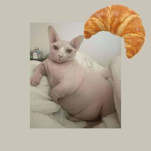 The Croissant