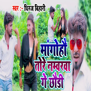 Mangoho Tore Numberawa Ge Chhodi