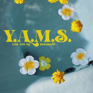 Y.A.M.S.(You Are My Soulmate) (Explicit)