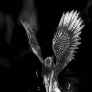 Outra Vez (Explicit)