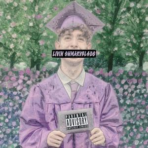 Livin Shmarvelous (Explicit)