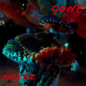 Gone (Explicit)