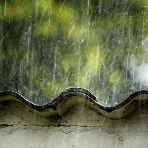 LAM - 雨