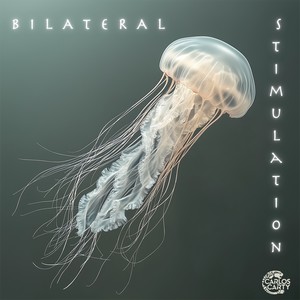 Bilateral Stimulation