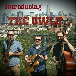 Introducing the Owlz