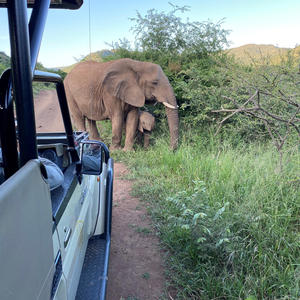 KRUGER PARK