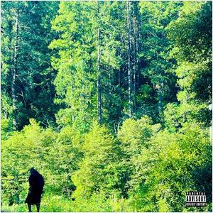 When You Are Down (feat. Jae Harmony & Euphonic Aspekt) (Explicit)