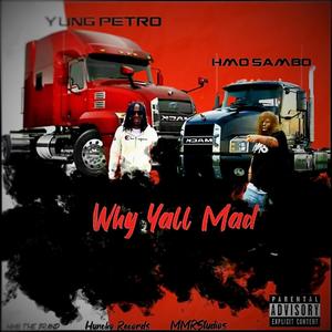 Why Yall Mad (feat. Yung Petro) [Explicit]