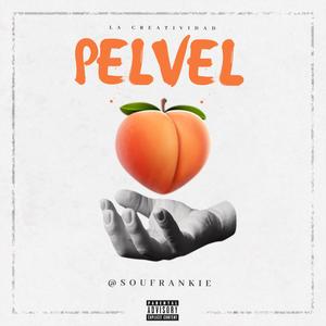 Pelvel (Explicit)