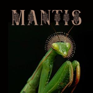 Mantis (Explicit)