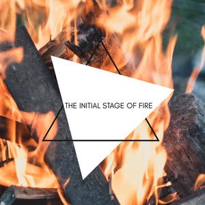 The Initial Stage of Fire