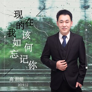 现在的我该如何忘记你