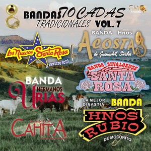 Bandas Tocadas Tradicionales Vol. 7