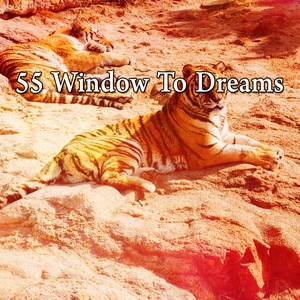 55 Window to Dreams