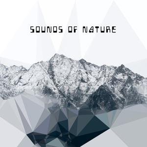 Sounds Of Nature