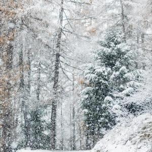Snow day (feat. Nick Mosh, YetBaby & Enoki)