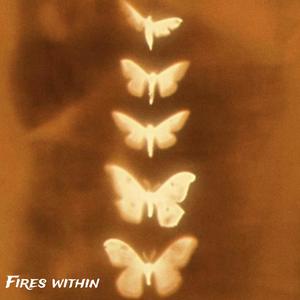 The Fires Within (Explicit)