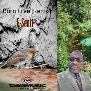 Born Free (Reggae Mix)