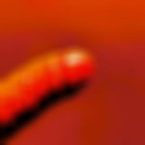 Just The Tip (feat. Iron Hox)