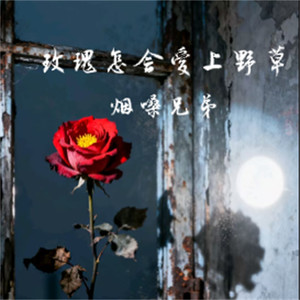 玫瑰怎会爱上野草