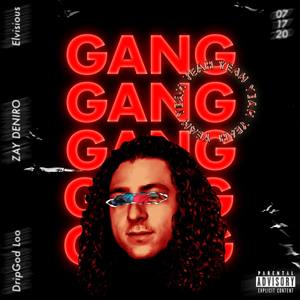 GANG (feat. DripGod Loo, ZAY DENIRO & Elvisious) [Explicit]