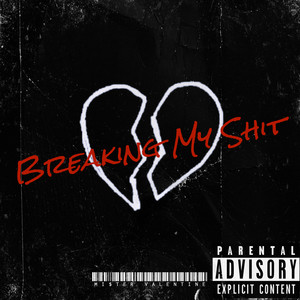 Breaking My **** (Explicit)