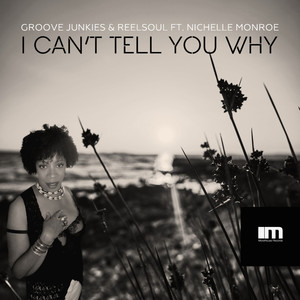 I Can't Tell You Why (Groove n' Soul Mixes)