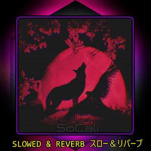 Slowed & Reverb (Explicit)