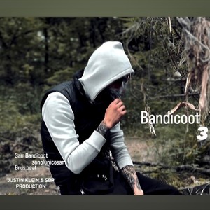 Bandicoot 3 (Explicit)