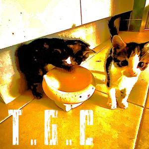 Vicious Harmful Love (Explicit)