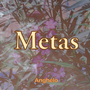 Metas (Explicit)