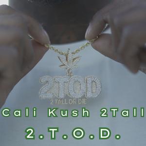 2.T.O.D. (feat. The Pineears) (Explicit)