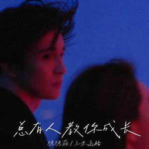 总有人教你成长
