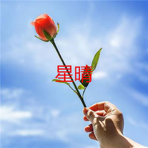 游园会 (印象版)