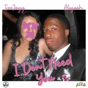 I Don't Need You (feat. Aliyaah) [Explicit]