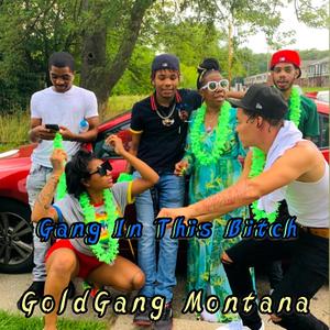 Gang In This ***** (Explicit)