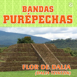 Flor de Dalia(Dalia Tziktzik)