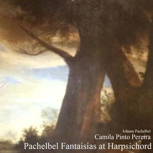 Pachelbel Fantaisias at Harpsichord - Fantasia in C Major, P. 123