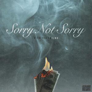 Sorry Not Sorry (Explicit)